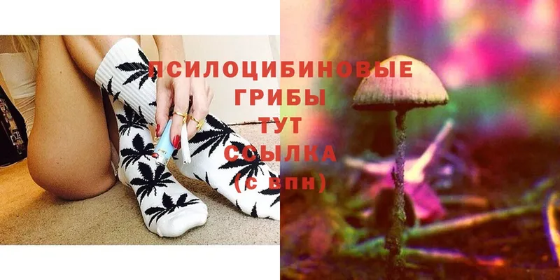 Галлюциногенные грибы Magic Shrooms  купить наркоту  Шимановск 